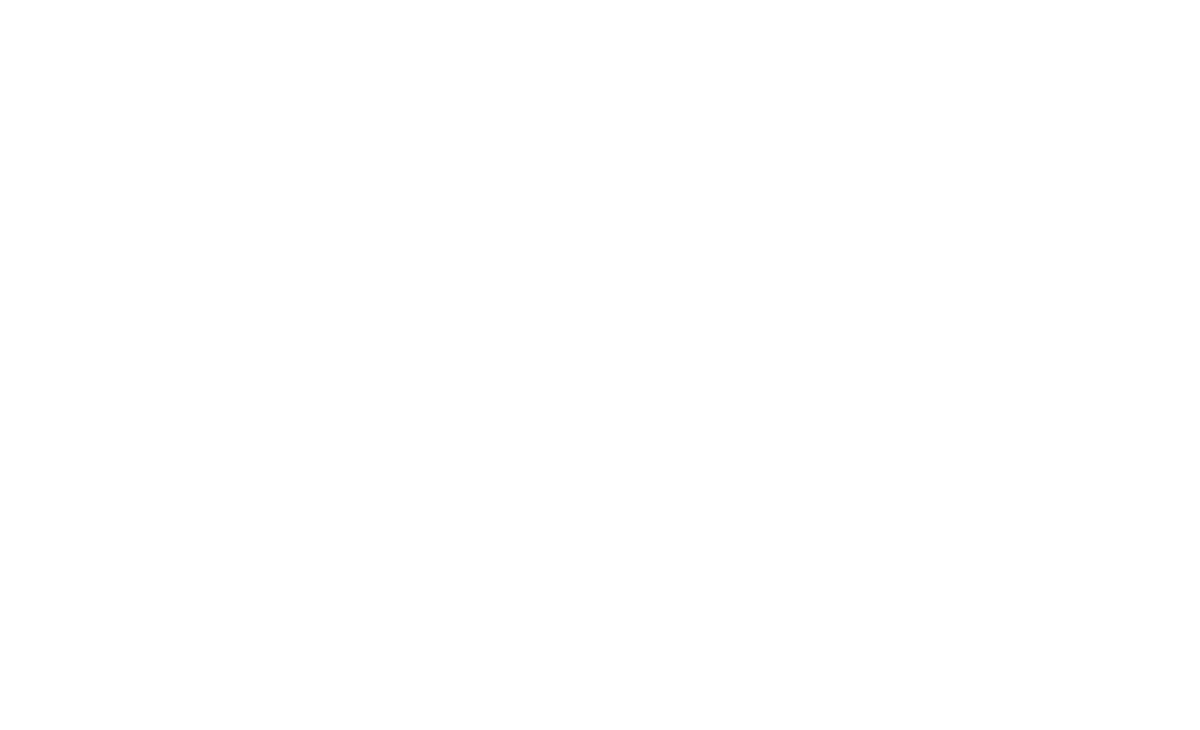 optimax Logo